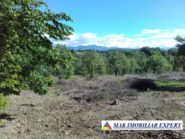 teren-intravilan-5200-mp-de-vanzare-in-bughea-de-jos-ideal-pentru-dezvoltari-rezidentiale-sau-comerciale