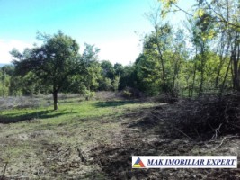 teren-intravilan-5200-mp-de-vanzare-in-bughea-de-jos-ideal-pentru-dezvoltari-rezidentiale-sau-comerciale-1