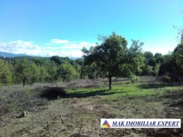 teren-intravilan-5200-mp-de-vanzare-in-bughea-de-jos-ideal-pentru-dezvoltari-rezidentiale-sau-comerciale-2