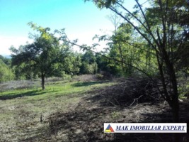 teren-intravilan-5200-mp-de-vanzare-in-bughea-de-jos-ideal-pentru-dezvoltari-rezidentiale-sau-comerciale-4