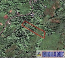 teren-de-221-ha-9-loturi-intraextravilan-de-vanzare-in-campulung-muscel-arges-ideal-pentru-dezvoltari-rezidentiale-si-agricole