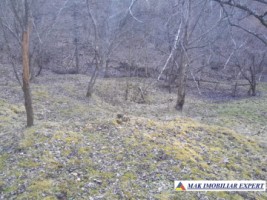 teren-de-221-ha-9-loturi-intraextravilan-de-vanzare-in-campulung-muscel-arges-ideal-pentru-dezvoltari-rezidentiale-si-agricole-18