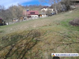 teren-de-221-ha-9-loturi-intraextravilan-de-vanzare-in-campulung-muscel-arges-ideal-pentru-dezvoltari-rezidentiale-si-agricole-22