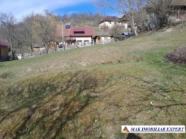 teren-de-221-ha-9-loturi-intraextravilan-de-vanzare-in-campulung-muscel-arges-ideal-pentru-dezvoltari-rezidentiale-si-agricole-21