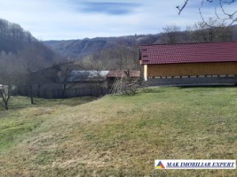 teren-de-221-ha-9-loturi-intraextravilan-de-vanzare-in-campulung-muscel-arges-ideal-pentru-dezvoltari-rezidentiale-si-agricole-25