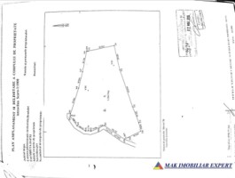 teren-de-5597-mp-cu-livezi-de-vanzare-in-galesu-bradulet-arges-ideal-pentru-activitati-agricole-sau-investitii