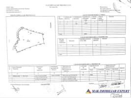 teren-de-5597-mp-cu-livezi-de-vanzare-in-galesu-bradulet-arges-ideal-pentru-activitati-agricole-sau-investitii-1