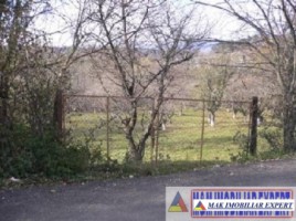 teren-intravilan-5000-mp-de-vanzare-pe-calea-targovistei-campulung-muscel-arges-1