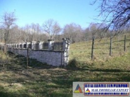 teren-intravilan-5000-mp-de-vanzare-pe-calea-targovistei-campulung-muscel-arges-8