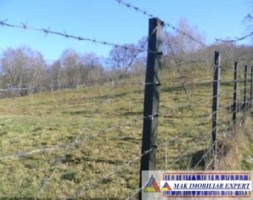 teren-intravilan-5000-mp-de-vanzare-pe-calea-targovistei-campulung-muscel-arges-2