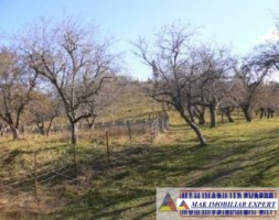 teren-intravilan-5000-mp-de-vanzare-pe-calea-targovistei-campulung-muscel-arges-3