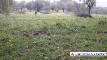 teren-intravilan-5000-mp-de-vanzare-pe-calea-targovistei-campulung-muscel-arges-4