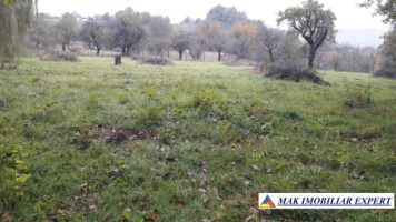 teren-intravilan-5000-mp-de-vanzare-pe-calea-targovistei-campulung-muscel-arges-5