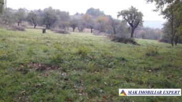 teren-intravilan-5000-mp-de-vanzare-pe-calea-targovistei-campulung-muscel-arges-6