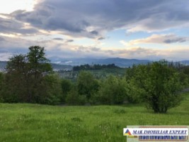 teren-intravilan-5072-mp-de-vanzare-pe-calea-targovistei-campulung-muscel-arges-ideal-pentru-dezvoltari-rezidentiale-sau-comerciale-12