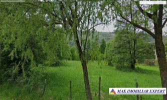 teren-intravilan-3651-mp-de-vanzare-in-zona-tarina-leresti-arges-ideal-pentru-constructii-rezidentiale