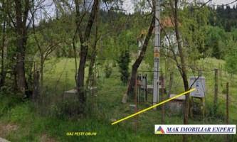 teren-intravilan-3651-mp-de-vanzare-in-zona-tarina-leresti-arges-ideal-pentru-constructii-rezidentiale-4