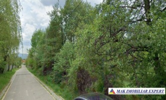 teren-intravilan-3651-mp-de-vanzare-in-zona-tarina-leresti-arges-ideal-pentru-constructii-rezidentiale-7