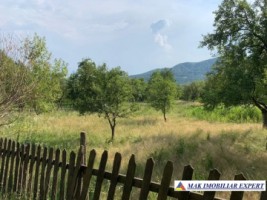 teren-intravilan-4000-mp-de-vanzare-in-corbi-arges-ideal-pentru-dezvoltari-rezidentiale