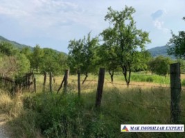 teren-intravilan-4000-mp-de-vanzare-in-corbi-arges-ideal-pentru-dezvoltari-rezidentiale-1