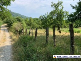 teren-intravilan-4000-mp-de-vanzare-in-corbi-arges-ideal-pentru-dezvoltari-rezidentiale-2