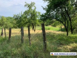 teren-intravilan-4000-mp-de-vanzare-in-corbi-arges-ideal-pentru-dezvoltari-rezidentiale-3