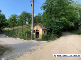 teren-intravilan-4000-mp-de-vanzare-in-corbi-arges-ideal-pentru-dezvoltari-rezidentiale-6