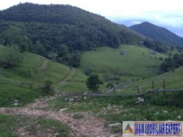 livada-cu-nuci-de-14-ha-extravilan-de-vanzare-in-ciocanu-dambovicioara-arges-oportunitate-agricola-si-de-investitie