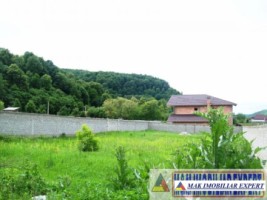 urgent-vila-cu-3-camere-si-teren-de-500-mp-de-vanzare-in-apa-sarata-campulung-muscel-arges-oportunitate-excelenta-24