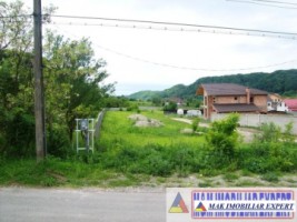 urgent-vila-cu-3-camere-si-teren-de-500-mp-de-vanzare-in-apa-sarata-campulung-muscel-arges-oportunitate-excelenta-23