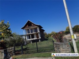 vila-8-camere-1000-mp-domnesti-arges-spatiu-generos-si-confortabil-pentru-familie-6