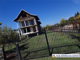 vila-8-camere-1000-mp-domnesti-arges-spatiu-generos-si-confortabil-pentru-familie-3