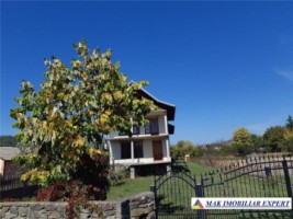 vila-8-camere-1000-mp-domnesti-arges-spatiu-generos-si-confortabil-pentru-familie-7