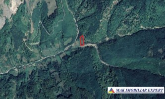 teren-5500-mp-intraextravilan-in-dragoslavele-arges-8