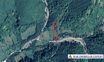 teren-5500-mp-intraextravilan-in-dragoslavele-arges-7