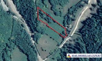 teren-5500-mp-intraextravilan-in-dragoslavele-arges-9