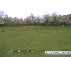 teren-intravilan-2926-mp-de-vanzare-in-dragoslavele-arges-oportunitate-ideala-pentru-constructii-2