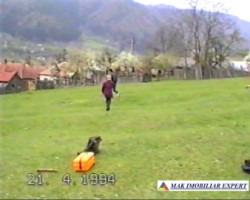 teren-intravilan-2926-mp-de-vanzare-in-dragoslavele-arges-oportunitate-ideala-pentru-constructii-1