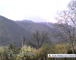 teren-intravilan-2926-mp-de-vanzare-in-dragoslavele-arges-oportunitate-ideala-pentru-constructii-6