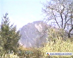 teren-intravilan-2926-mp-de-vanzare-in-dragoslavele-arges-oportunitate-ideala-pentru-constructii-7