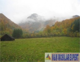 teren-intravilan-8500-mp-de-vanzare-in-valea-luncii-dragoslavele-arges-ideal-pentru-dezvoltari-rezidentiale-sau-turistice