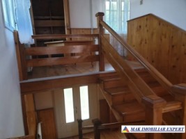 complex-vila-8-camere-de-vanzare-teren-13-ha-in-godeni-arges-6