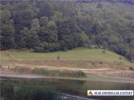 teren-extravilan-de-6000-mp-cu-vedere-la-lac-baraj-mic-leresti-arges-1