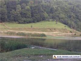 teren-extravilan-de-6000-mp-cu-vedere-la-lac-baraj-mic-leresti-arges