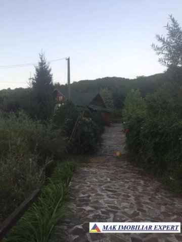 de-vanzare-vila-tip-conac-cu-3-camere-si-teren-de-8300-mp-malureni-arges-3