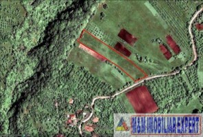 teren-extravilan-14-ha-cocenesti-rizeasca-matau-mioarele-arges-ideal-pentru-agricultura