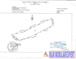 teren-extravilan-14-ha-cocenesti-rizeasca-matau-mioarele-arges-ideal-pentru-agricultura-1