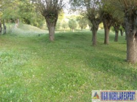 teren-extravilan-14-ha-cocenesti-rizeasca-matau-mioarele-arges-ideal-pentru-agricultura-5