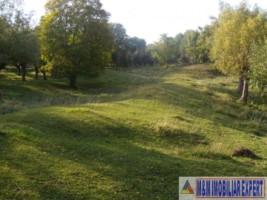 teren-extravilan-14-ha-cocenesti-rizeasca-matau-mioarele-arges-ideal-pentru-agricultura-9