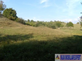 teren-extravilan-14-ha-cocenesti-rizeasca-matau-mioarele-arges-ideal-pentru-agricultura-11